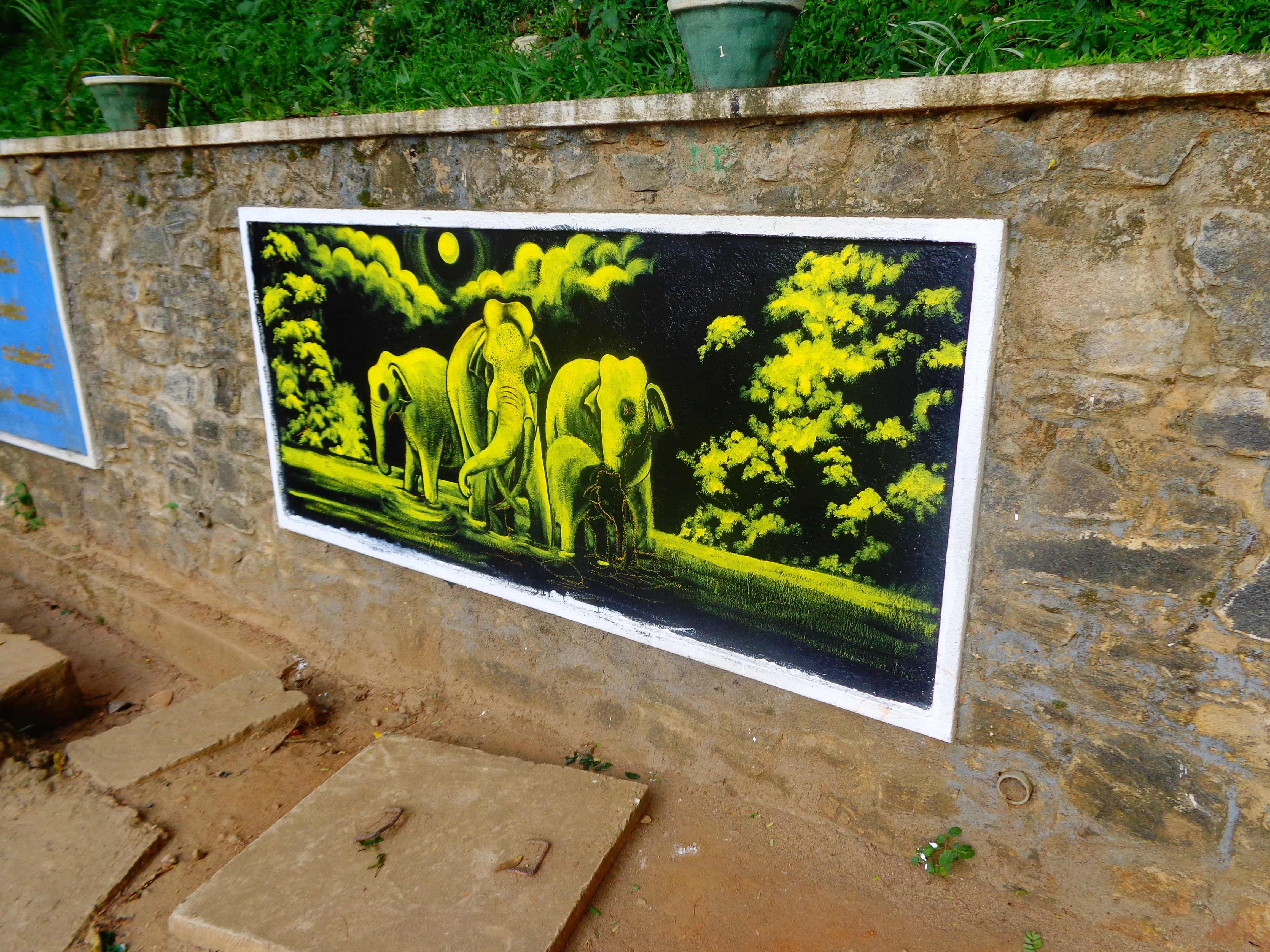 Wild Life Artwork 7